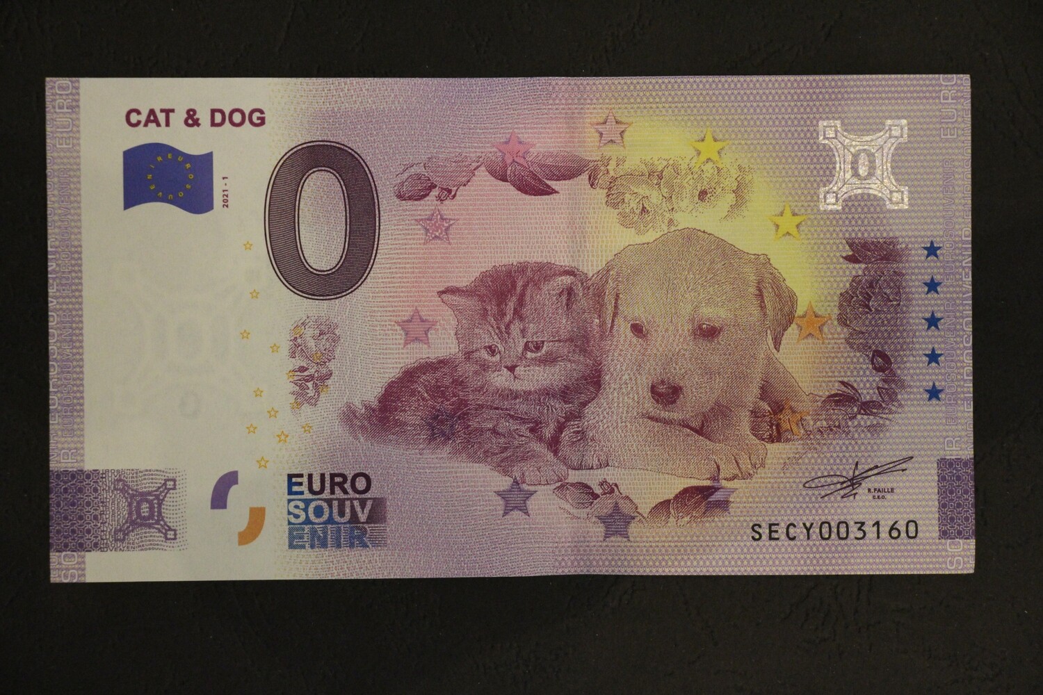 CAT &amp; DOG ANNIVERSARY
