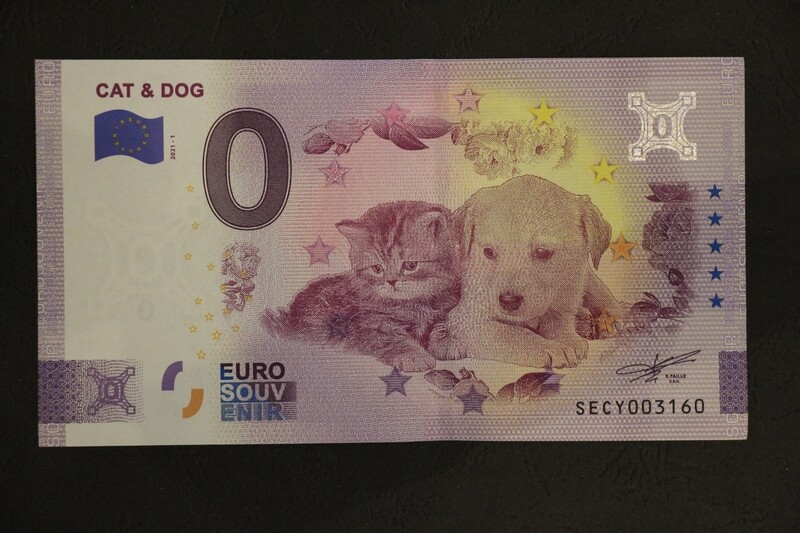 CAT &amp; DOG