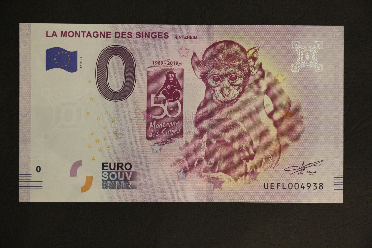 LA MONTAGNE DES SINGES