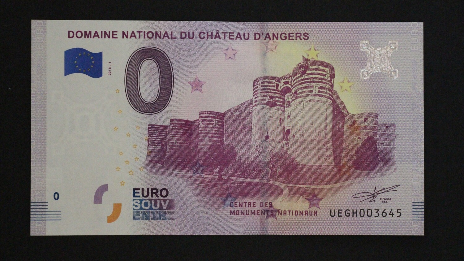 DOMAINE NATIONAL DU CHATEAU D&#39;ANGERS