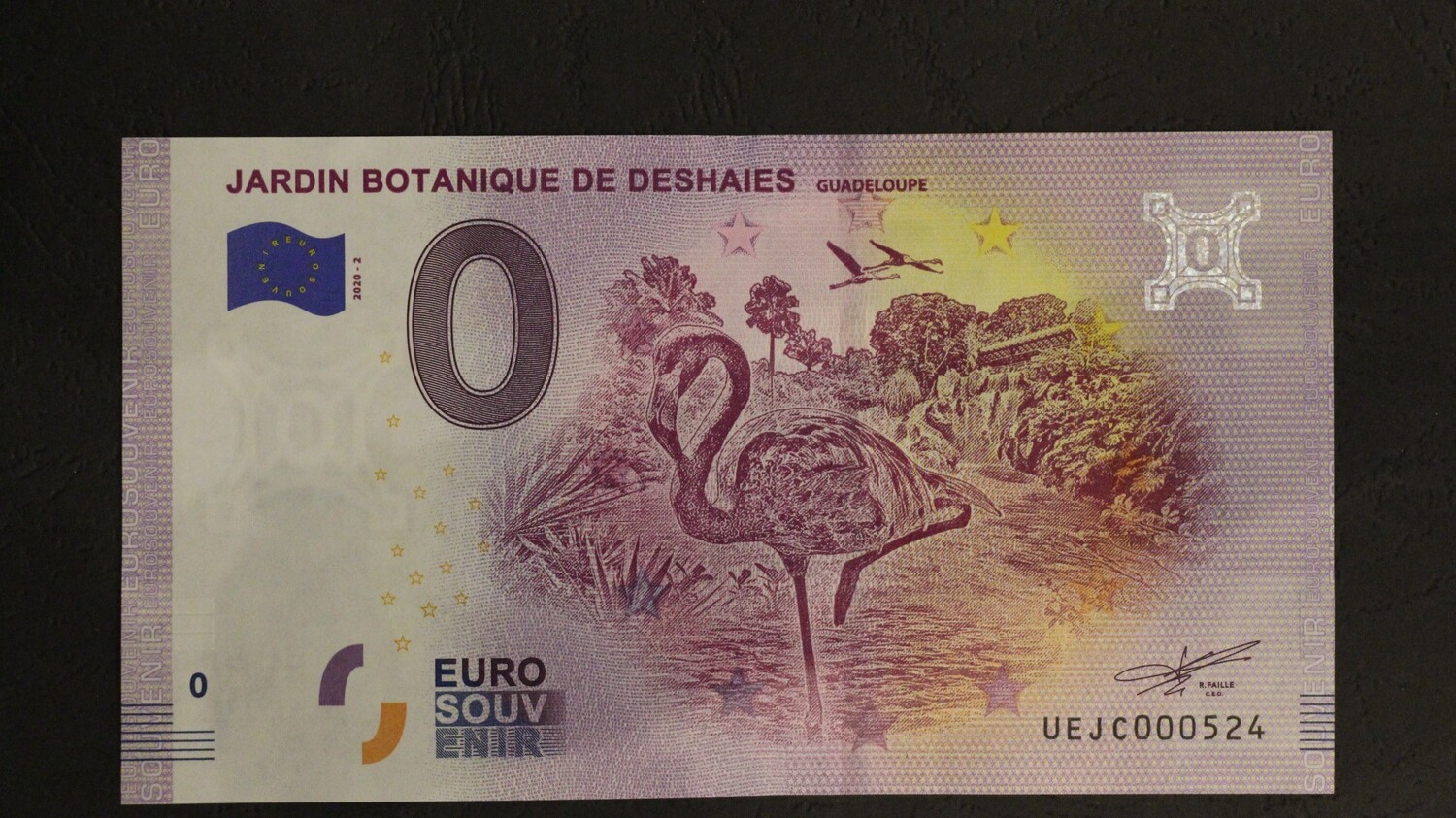 JARDIN BOTANIQUE DE DESHAIES