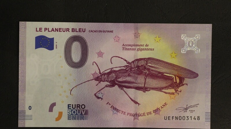 LE PLANEUR BLEU