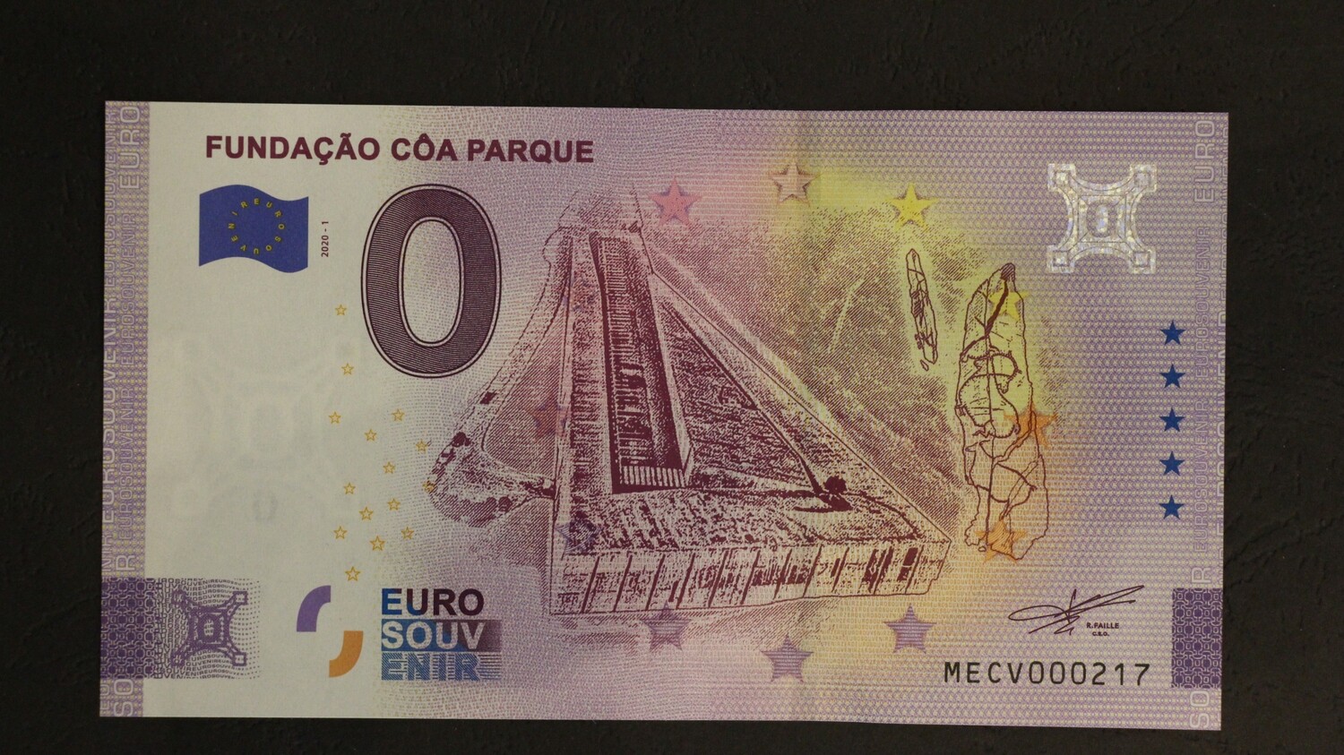 FUNDAÇÃO CÔA PARQUE