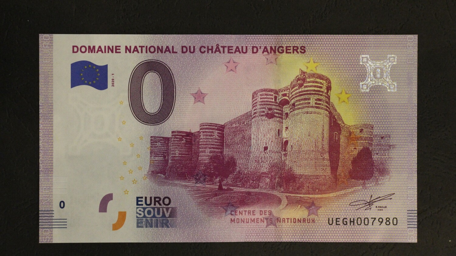 DOMAINE NATIONAL DU CHATEAU D&#39;ANGERS