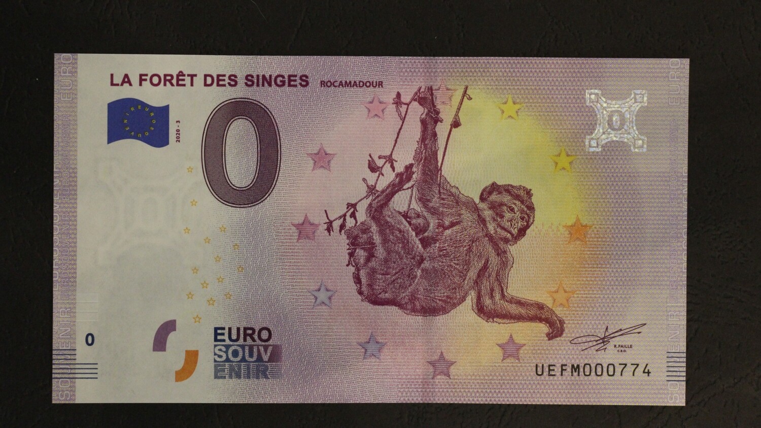 LA FORÊT DES SINGES