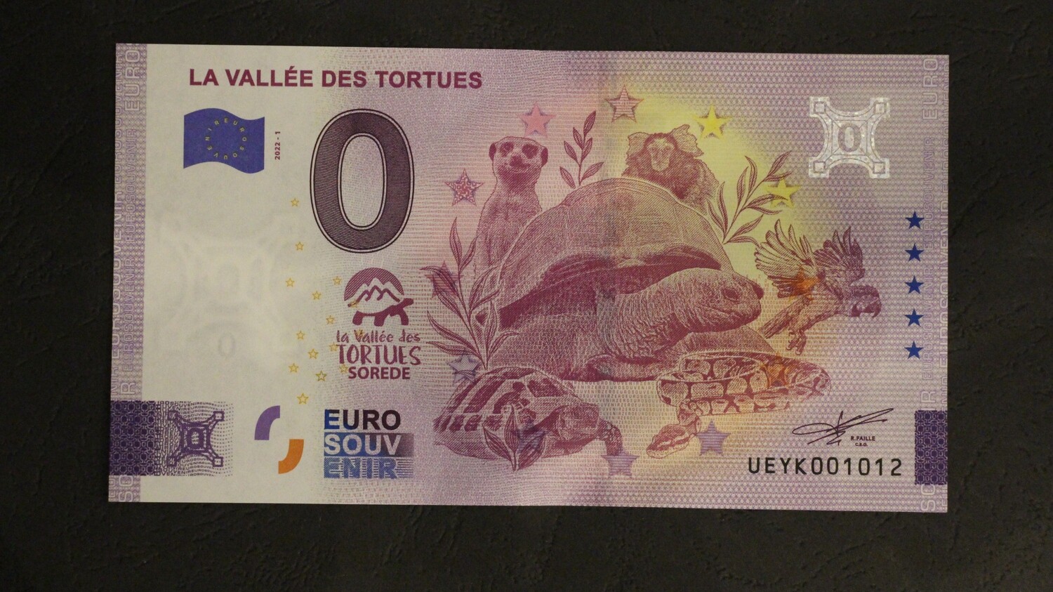 LA VALLEE DES TORTUES