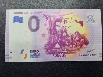 INDONESIA - ORANGUTAN
