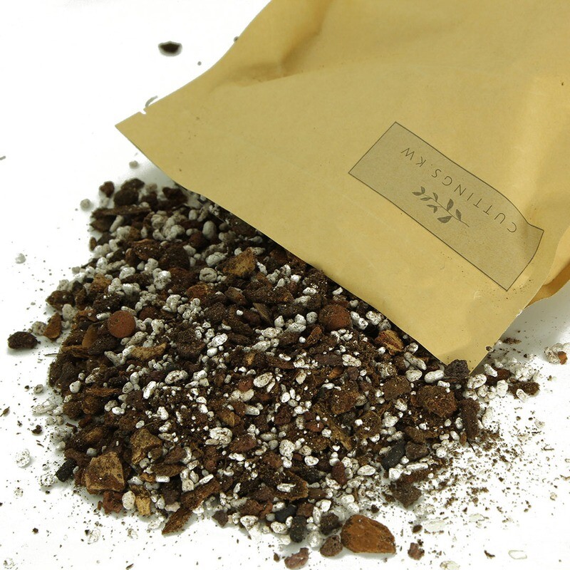 Aroid Soil Mix