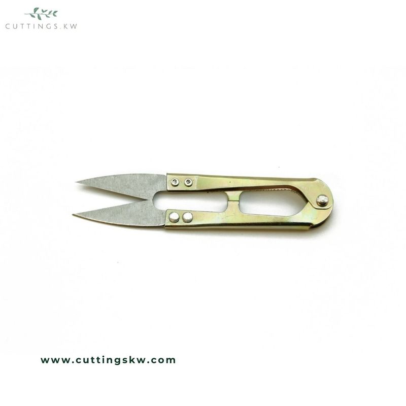 Small Scissors