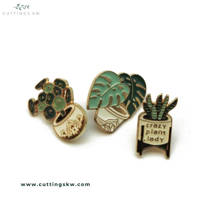 Pin