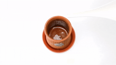 Plantel Planter Plantel Planter