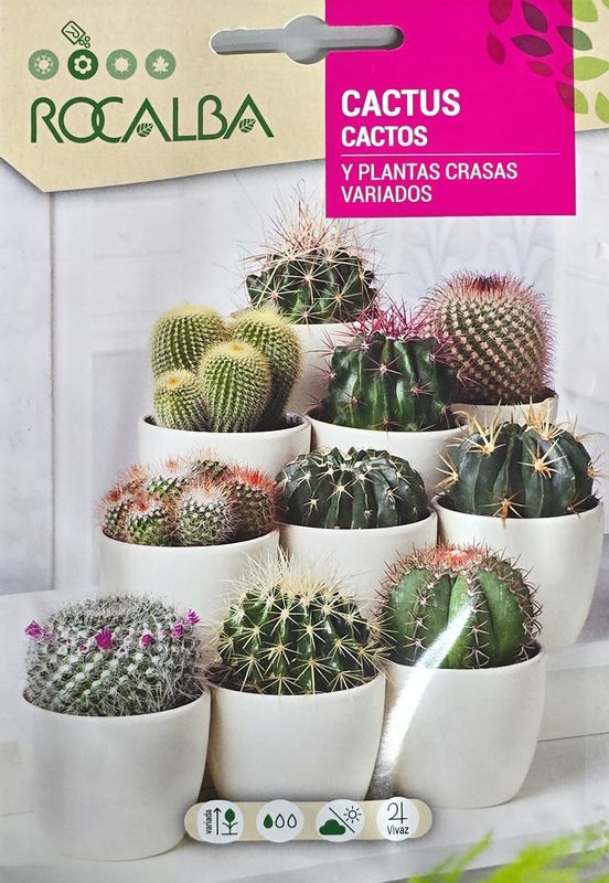 Cacti Seeds (mix)