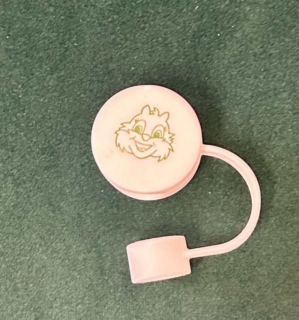 Straw Topper