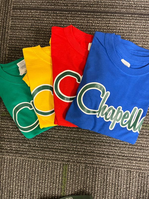 PE shirt (class color)