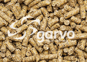 7308 Kanan täysravinto 20 kg 7308 Kanan täysravinto 20 kg