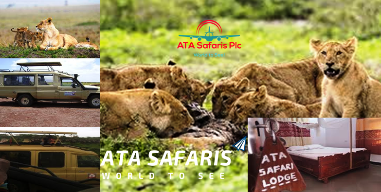 ATA 5Days , 4Nights To Serengeti National park, Ngorongoro crater and Lake Manya