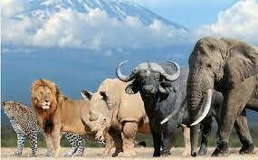 ATA - 6Days , 5Nights - Kilimanjaro Trekking - Marangu route