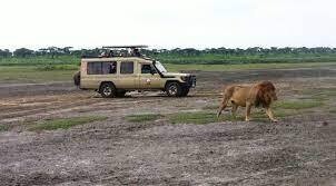 ATA - 2Days - 1 Night Arusha National park &amp; Materuni Waterfalls