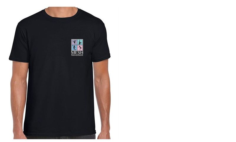 Mesh T shirt, Open Level / Adult Classes