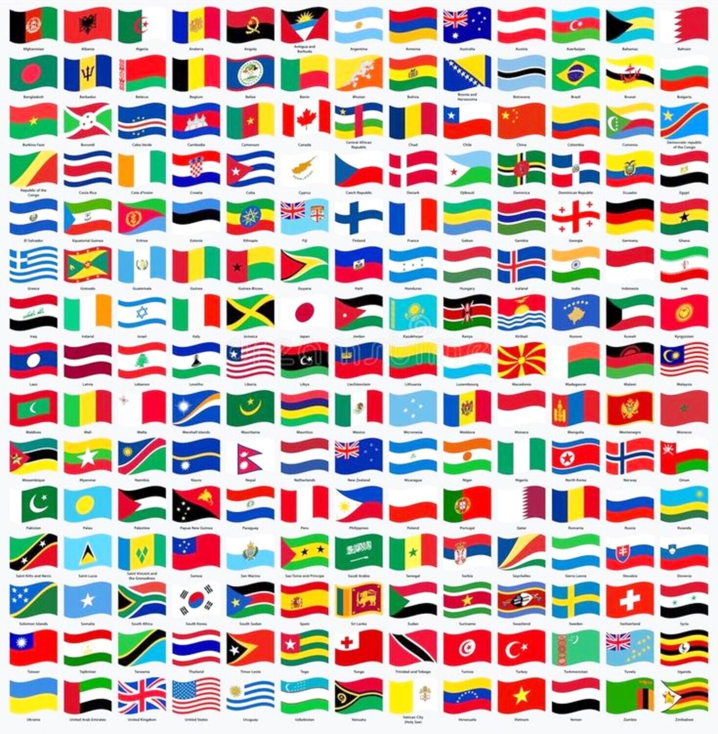 Choose Your Flag