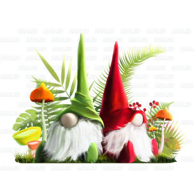 Summer Garden gnomes