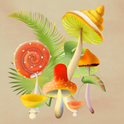 Forest Magic Mushrooms