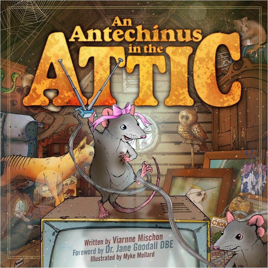 An Antechinus in the Attic