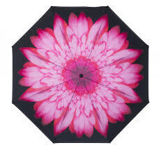 Soake Inside Out Pink Daisy 