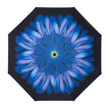 Soake Inside Out Blue Daisy