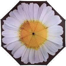 Soake Inside Out White Daisy