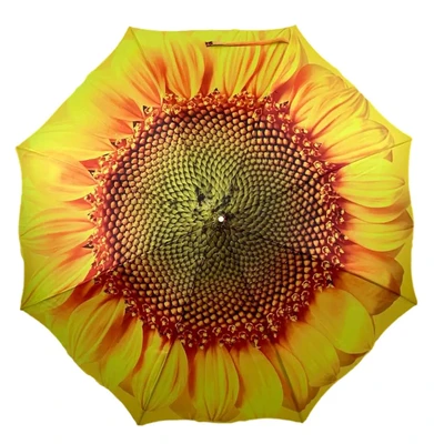 Soake Storm King Folding Sunflower