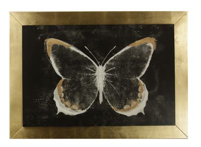 FARFALLA CM. 76X106 (S006730) FARFALLA CM. 76X106 (S006730)