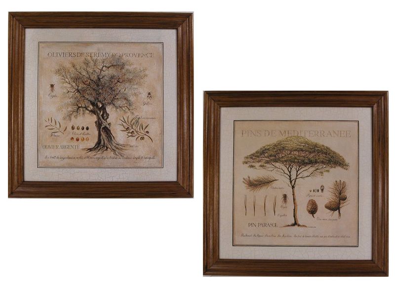 ALBERI CM. 83X83 ( S000R54)