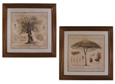 ALBERI CM. 83X83 ( S000R54)
