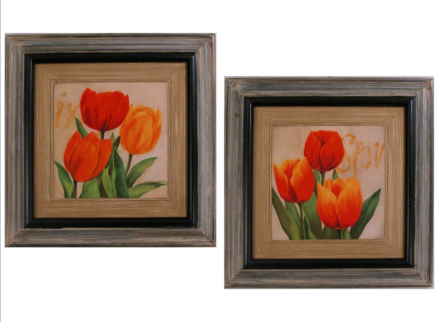 TULIPANI CM. 54X54 (S000KE1)
