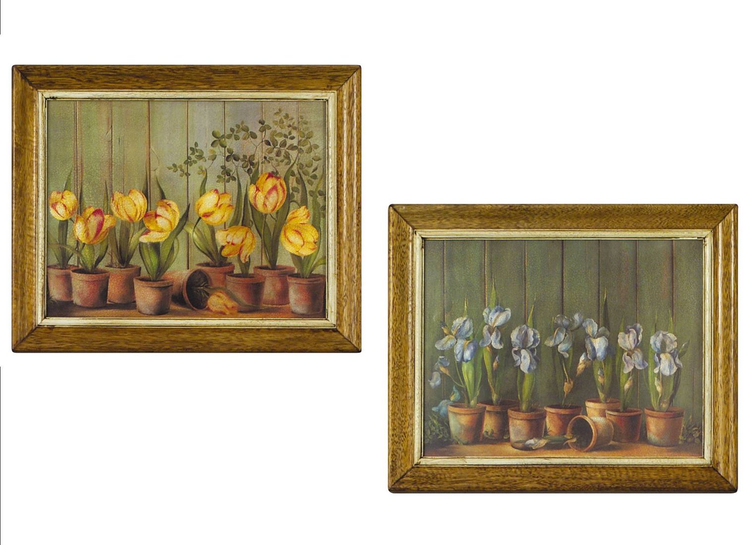 FIORI TULIPANI ED IRIS ( S000R52)