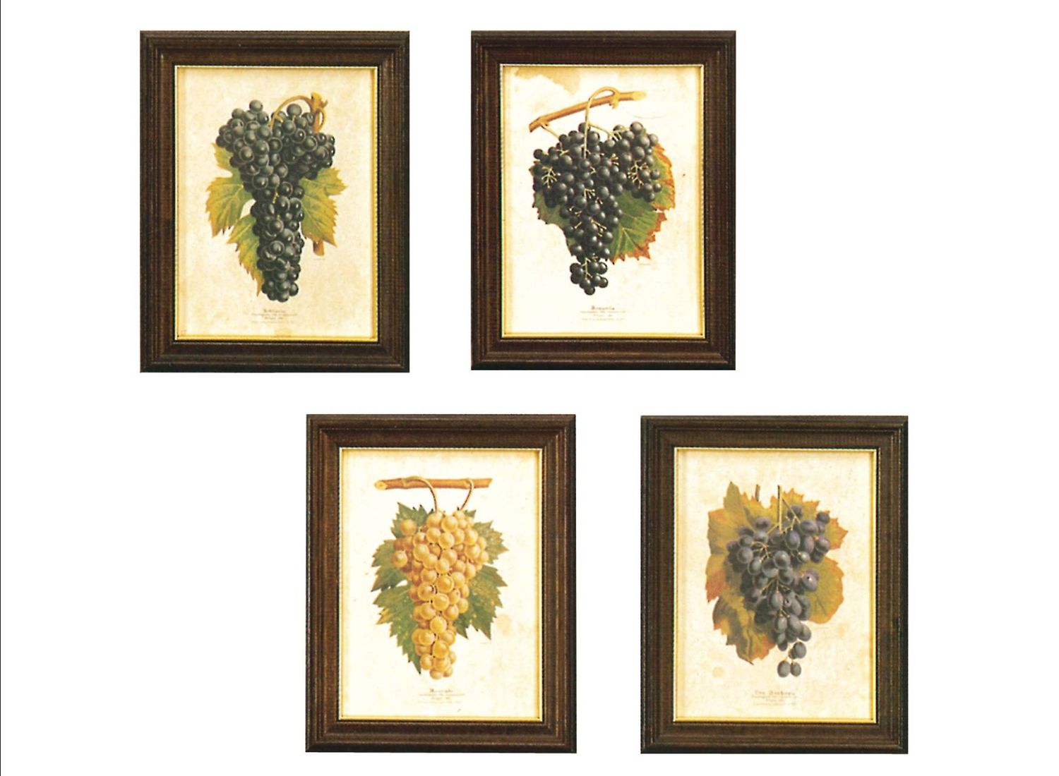 UVA SET DI QUATTRO PEZZI (S000663)