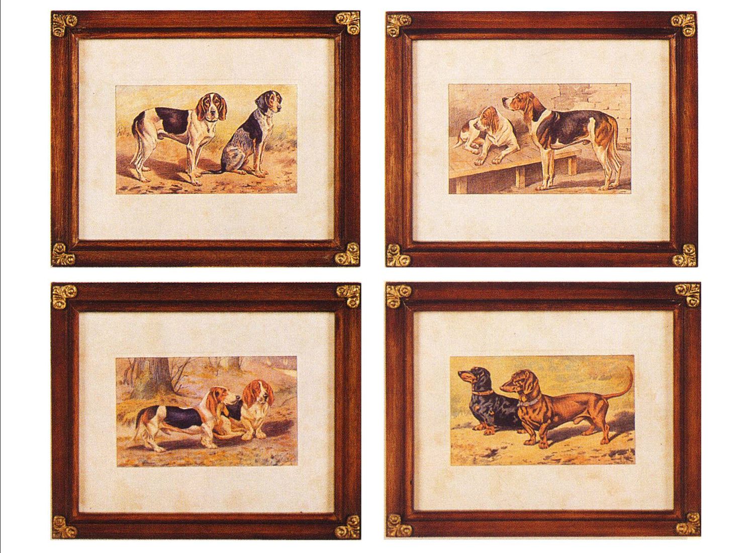 CANI SET 4 PEZZI (S000B31)