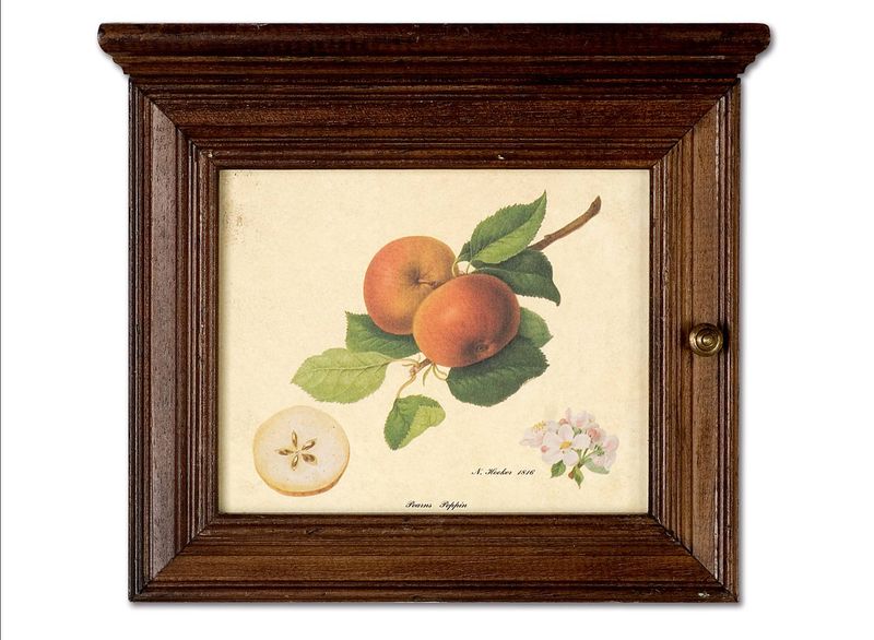 PORTACHIAVI CON FRUTTA (S000P30)