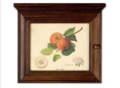 PORTACHIAVI CON FRUTTA (S000P30)