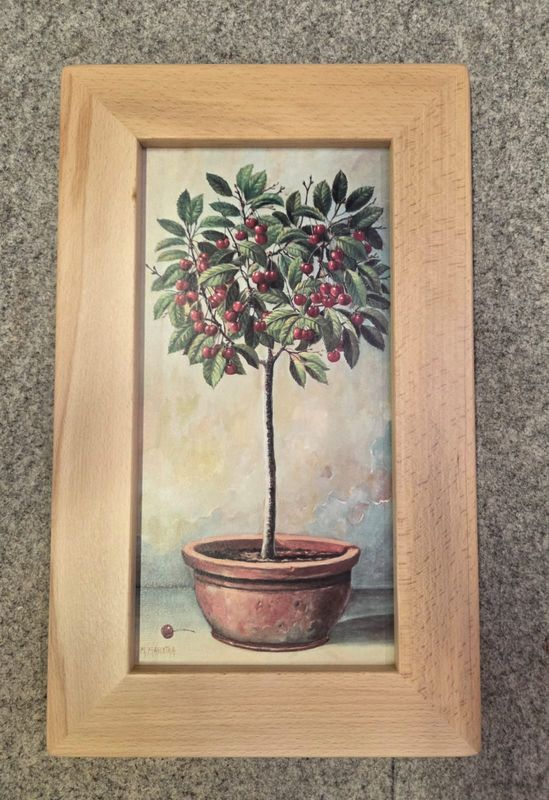 VASO CON CILIEGIE VASO CON CILIEGIE