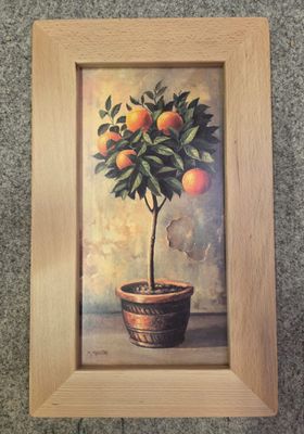 VASO CON ARANCE VASO CON ARANCE