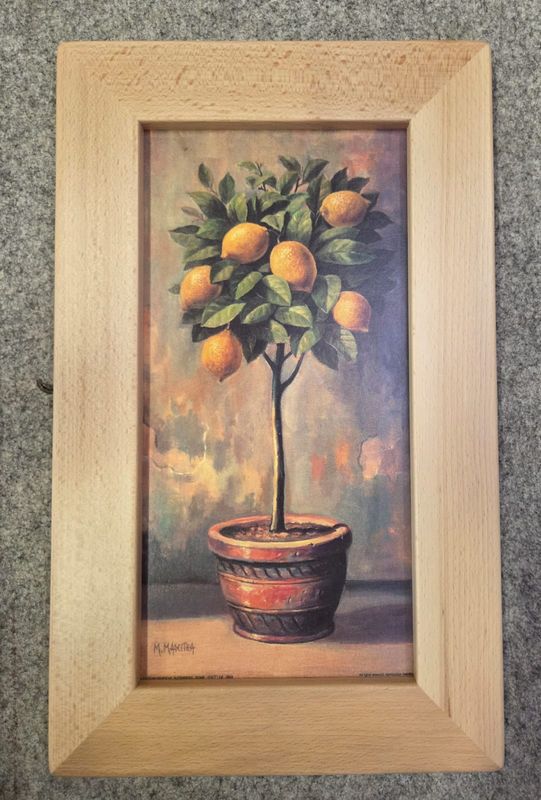 VASO CON LIMONI VASO CON LIMONI