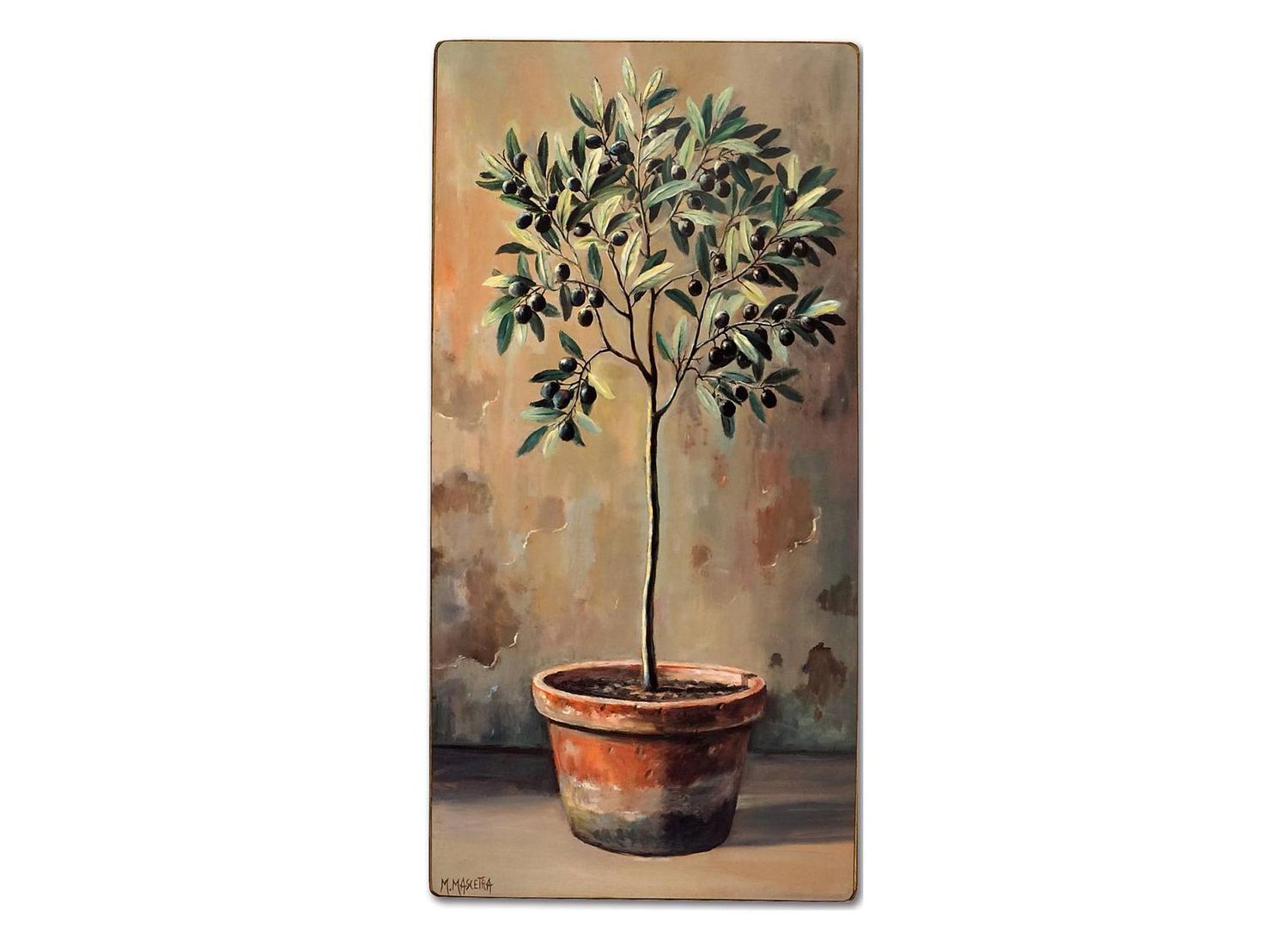 VASO CON PIANTA DI ULIVO VASO CON PIANTA DI ULIVO