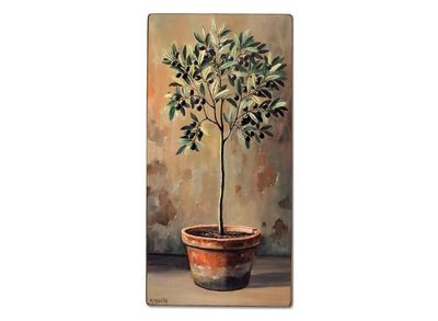 VASO CON PIANTA DI ULIVO VASO CON PIANTA DI ULIVO