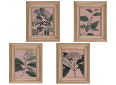 BOTANICHE ( S004980) BOTANICHE ( S004980)