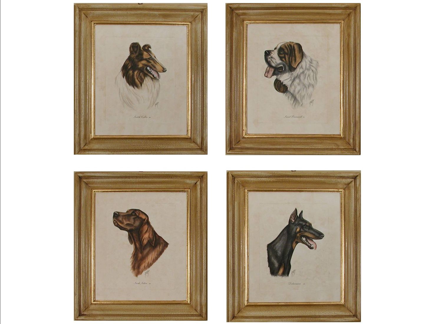 CANI SET 4 PEZZI ( S000AV0)