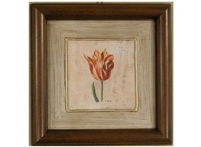 TULIPANO ( 000BE1EM1681V NJAAA2A00N)