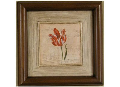 TULIPANO ( 000BE1EM1684V NJAAA2A00N )