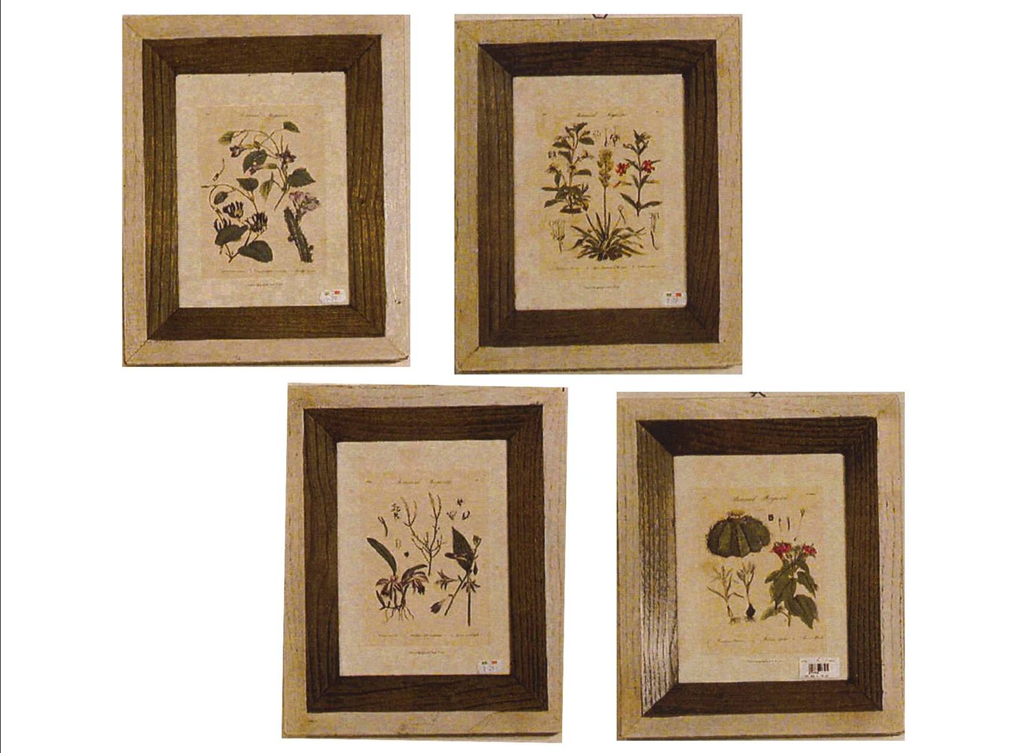 BOTANICHE SET DI QUATTRO PEZZI ( S000I29) BOTANICHE SET DI QUATTRO PEZZI ( S000I29)
